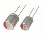 RR71C101MDN1KX
