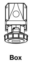D31S55A